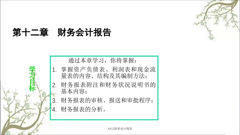 XA12财务会计报告课件_第1页