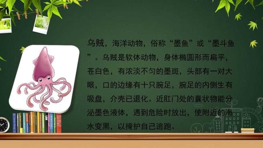 三年级语文上册8海底世界课件北师大版北师大版小学三年级上册语文课件_第5页