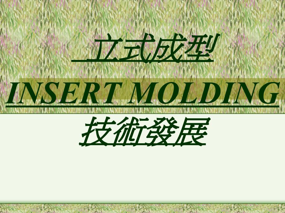 INSERTMOLDING技术发展ppt课件_第1页