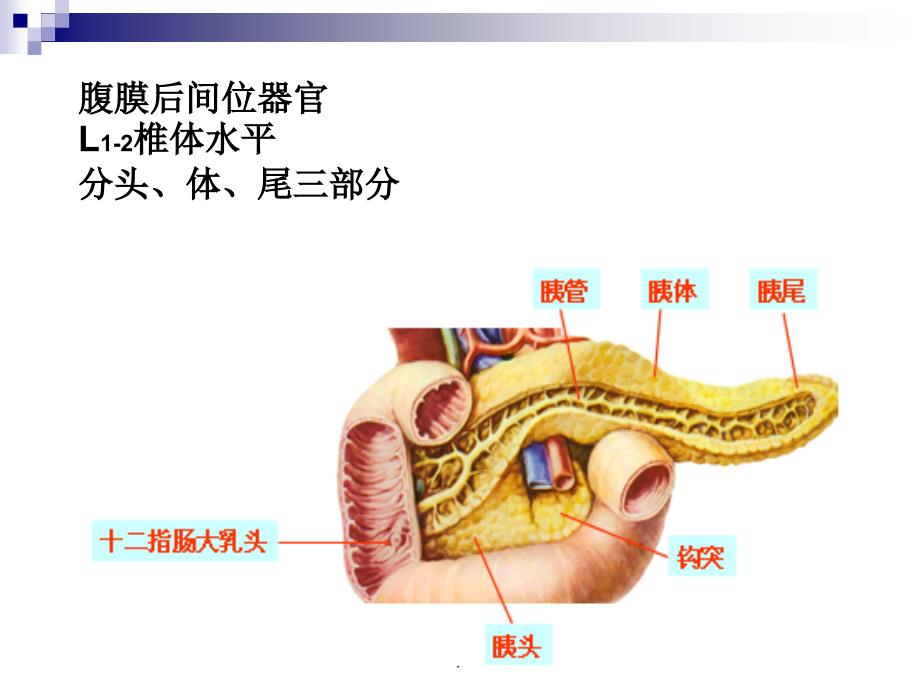 胰腺癌综合诊治中国专家共识PPT演示课件_第2页