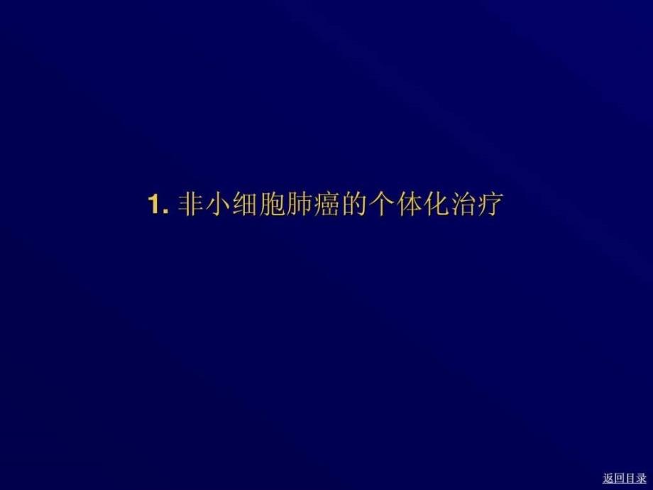 非小细胞肺癌临床实践指南(中文版).ppt_第3页