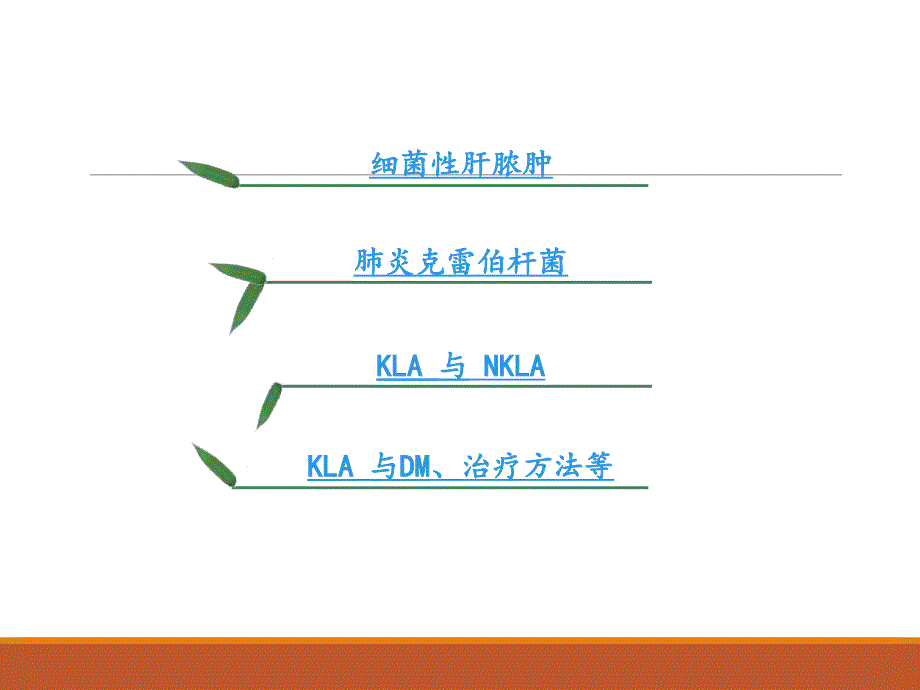 肺炎克雷伯杆菌性肝脓肿_第2页