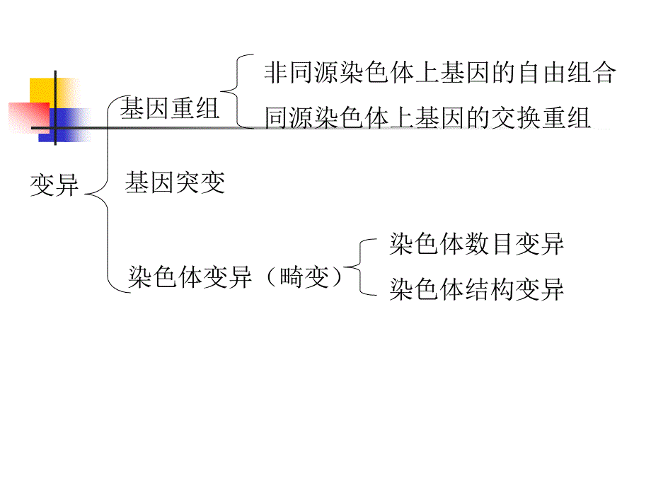 7第七章染色体畸变_第2页