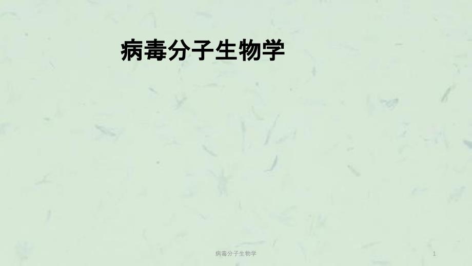 病毒分子生物学课件_第1页