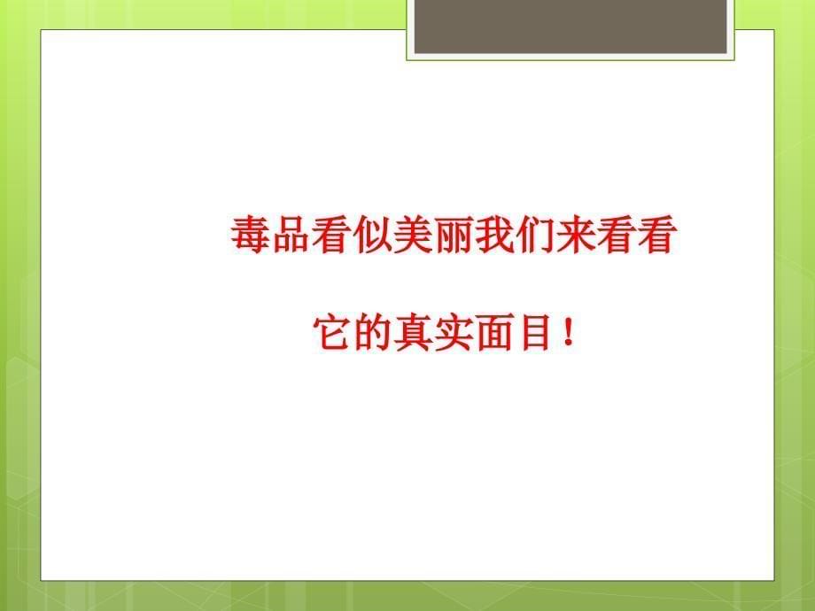 品德与社会六年级上册珍爱生命远离毒品PPT课件_第5页