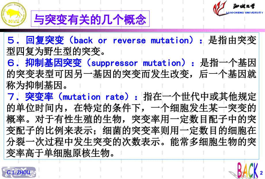 基因重组hollidaY课件_第2页