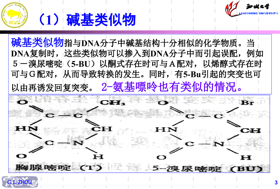 基因重组hollidaY课件_第3页