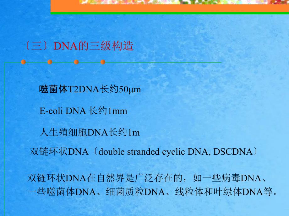 DNA的三级结构ppt课件_第1页