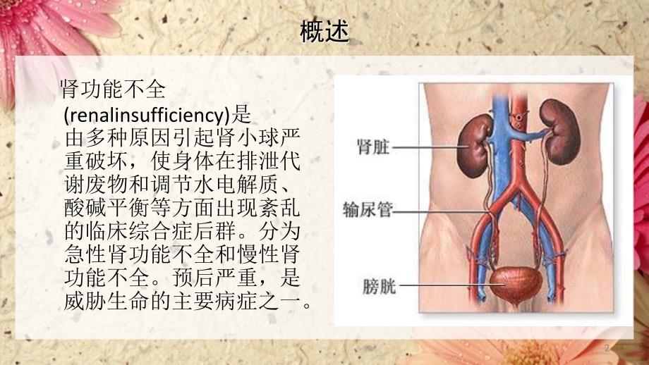 肾功能不全的分期及临床症状ppt课件_第2页