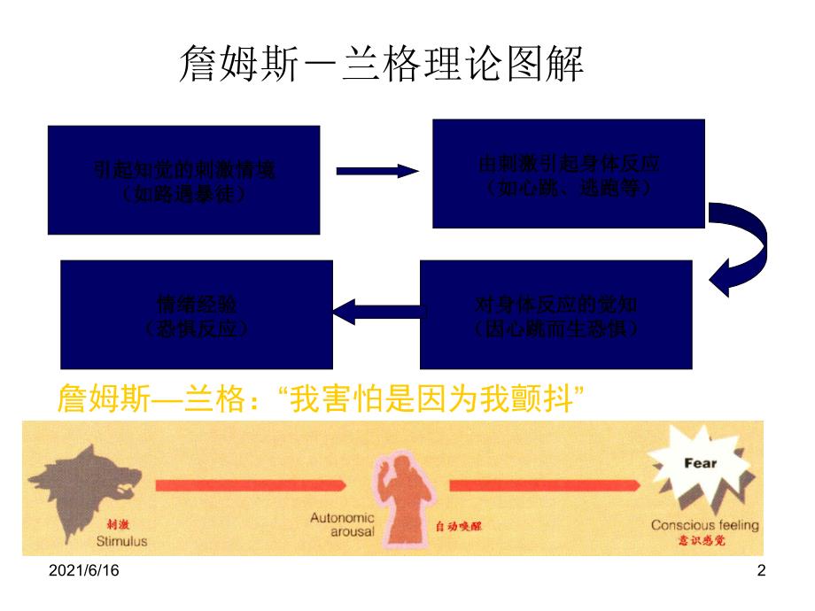 情绪理论PPT课件_第2页