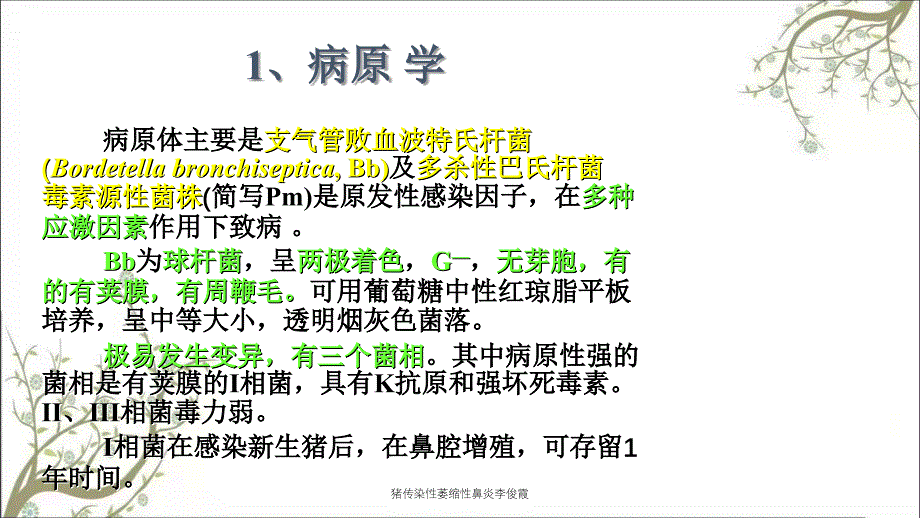 猪传染性萎缩性鼻炎李俊霞_第3页