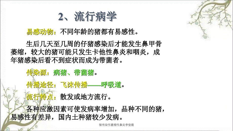 猪传染性萎缩性鼻炎李俊霞_第4页