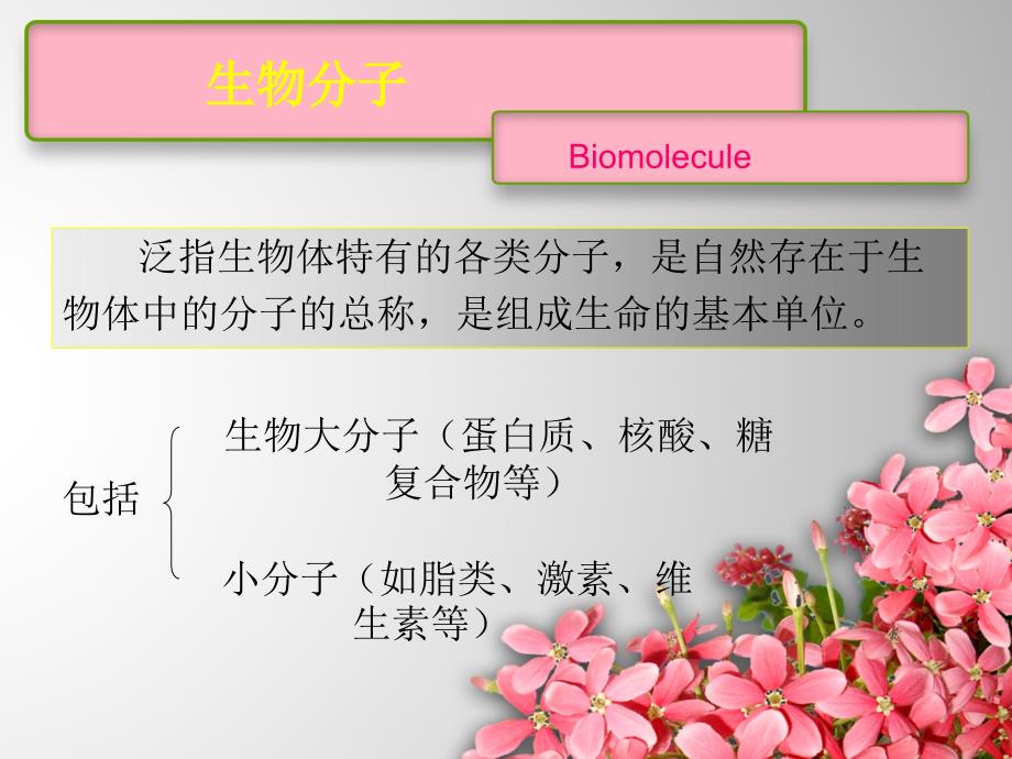 生物大分子的分离纯化及其应用_第2页