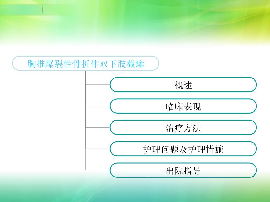 胸椎骨折并截瘫护理查房_第2页