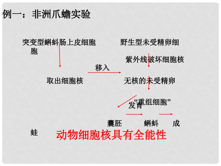 高中生物 专题2课题1 植物细胞工程课件1 新人教版选修3_第4页