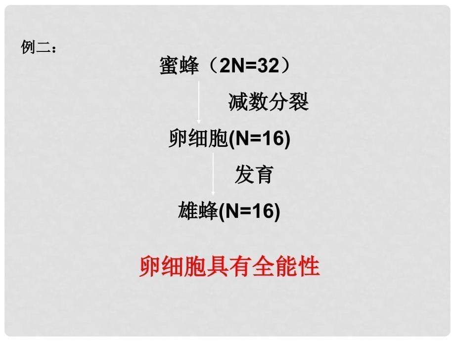 高中生物 专题2课题1 植物细胞工程课件1 新人教版选修3_第5页