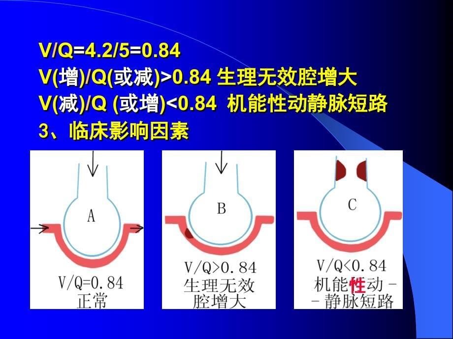 二节气体交换Gsexchange_第5页