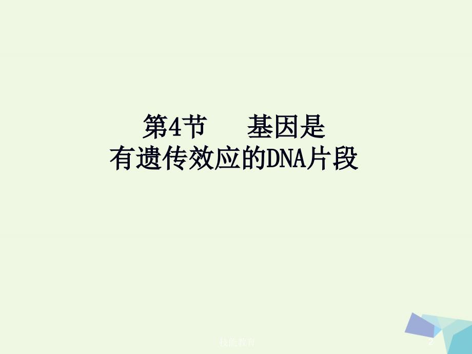 基因是有遗传效应的DNA片段【青苗教育】_第2页