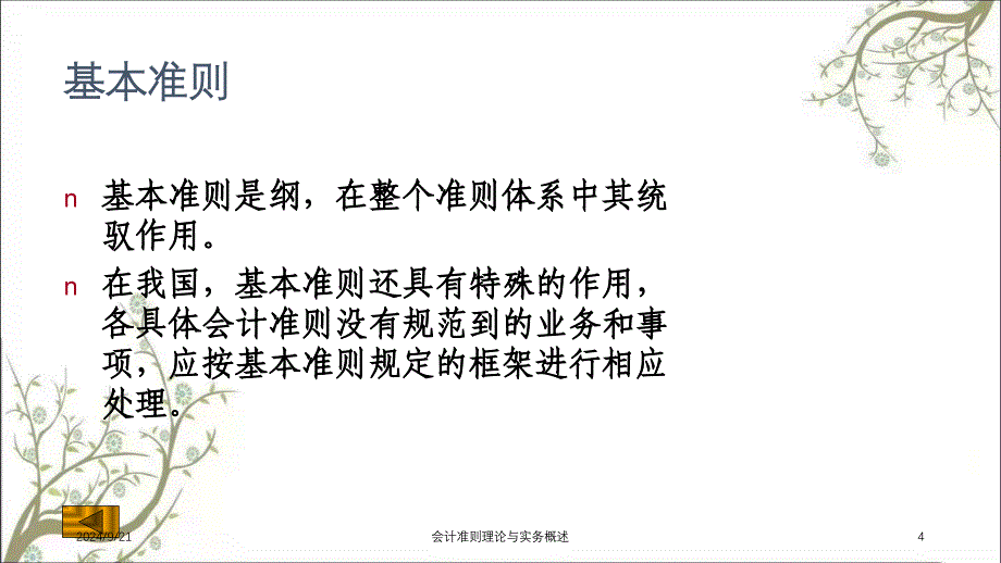 会计准则理论与实务概述课件_第4页