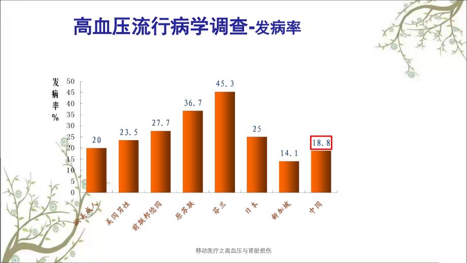 移动医疗之高血压与肾脏损伤_第4页