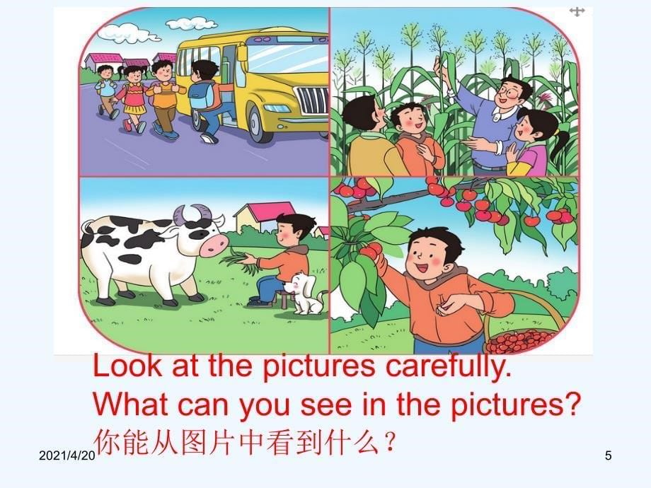 五年级下册英语课件-Unit 5 Country Life Lesson 3 He goes to school by school bus∣鲁科版（五四学制） （三起）_第5页