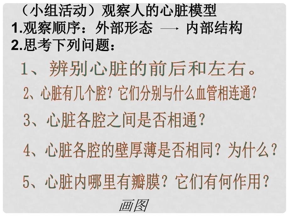 海南省儋州一中七年级生物下册 4.4.3 输送血液的泵——心脏（第1课时）汇报课课件 （新版）新人教版_第5页