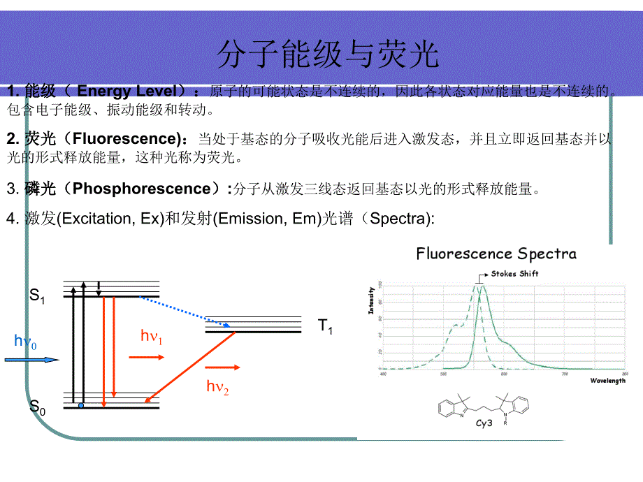 荧光共振能量转移FERT_第2页