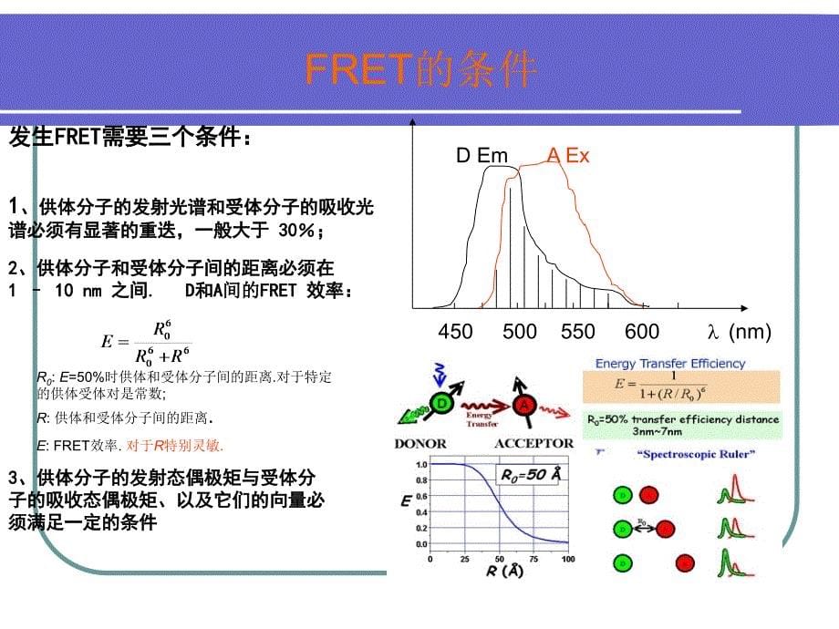 荧光共振能量转移FERT_第5页