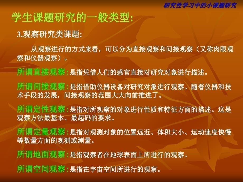 研究性习中小课题研究_第5页