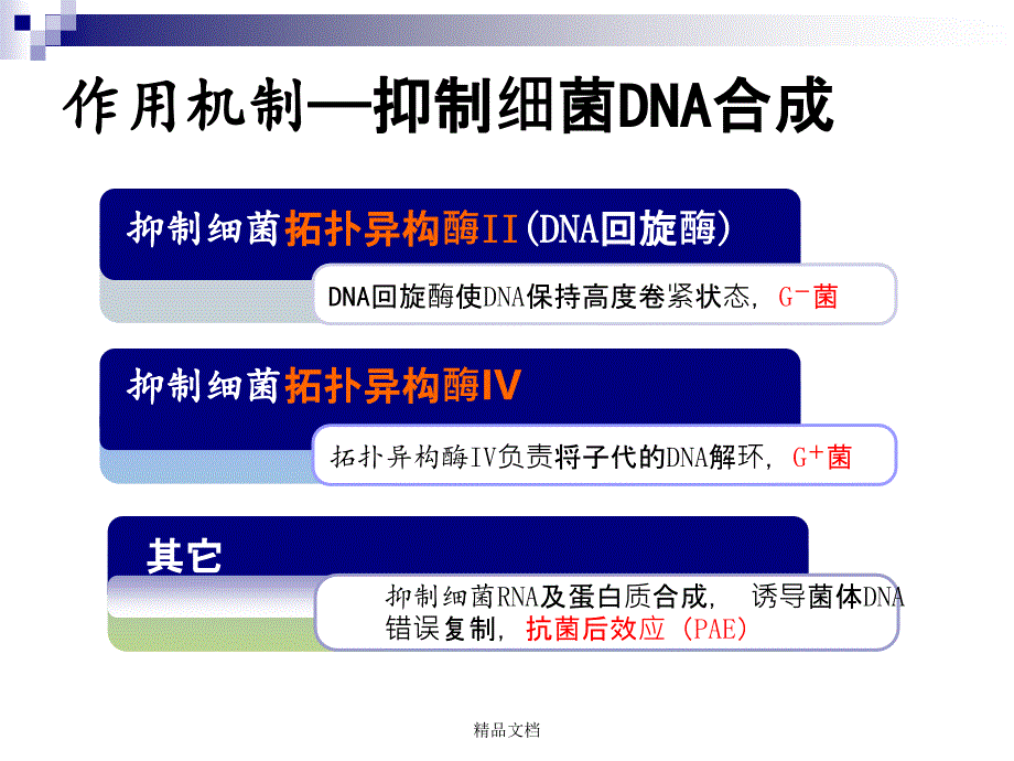 喹诺酮药物的比较课件_第3页