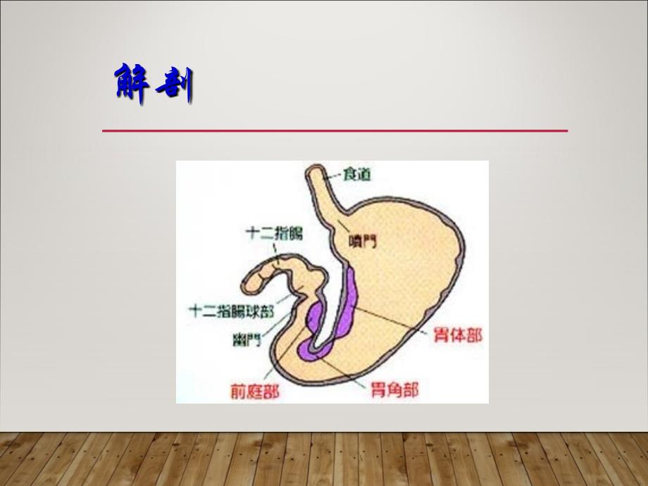 内科学课件：消化性溃疡_第3页