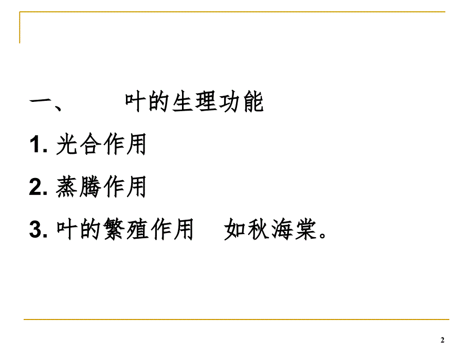 植物叶的解剖结构PPT课件_第2页