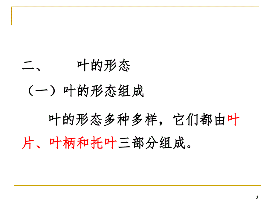 植物叶的解剖结构PPT课件_第3页