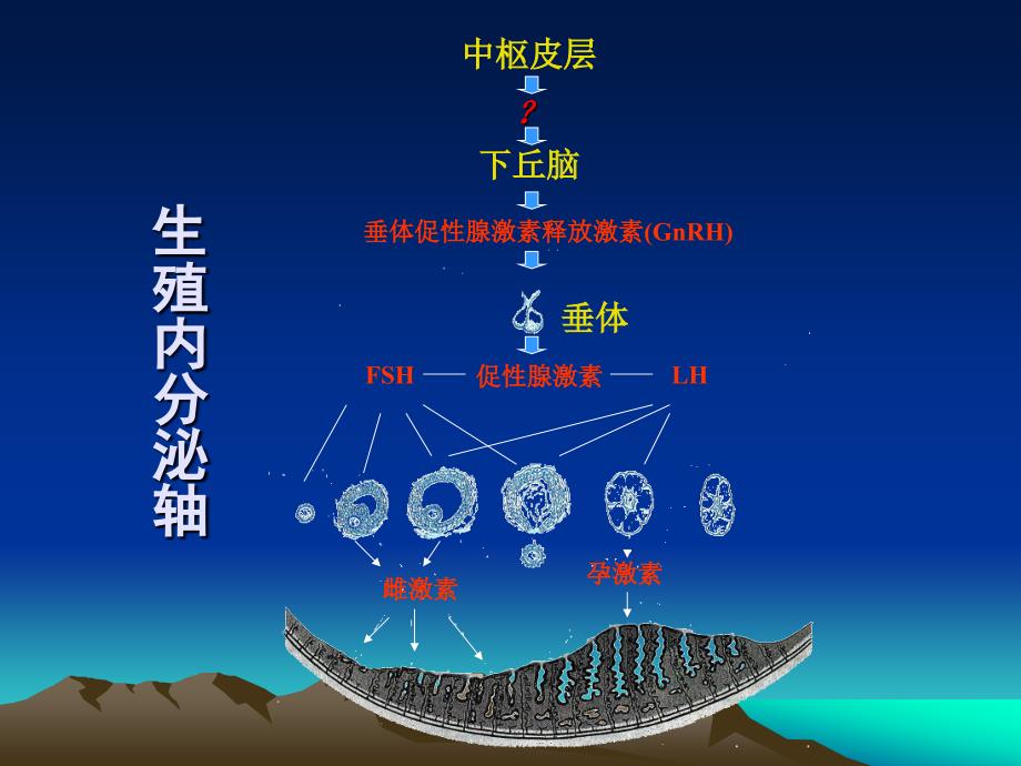 黄体功能异常的临床诊断与治疗_第2页