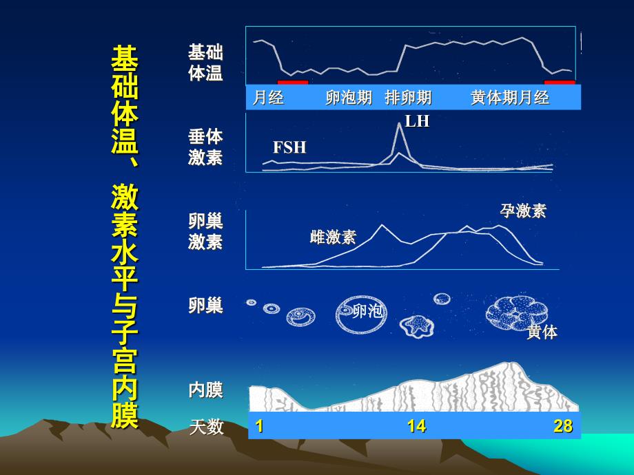 黄体功能异常的临床诊断与治疗_第3页