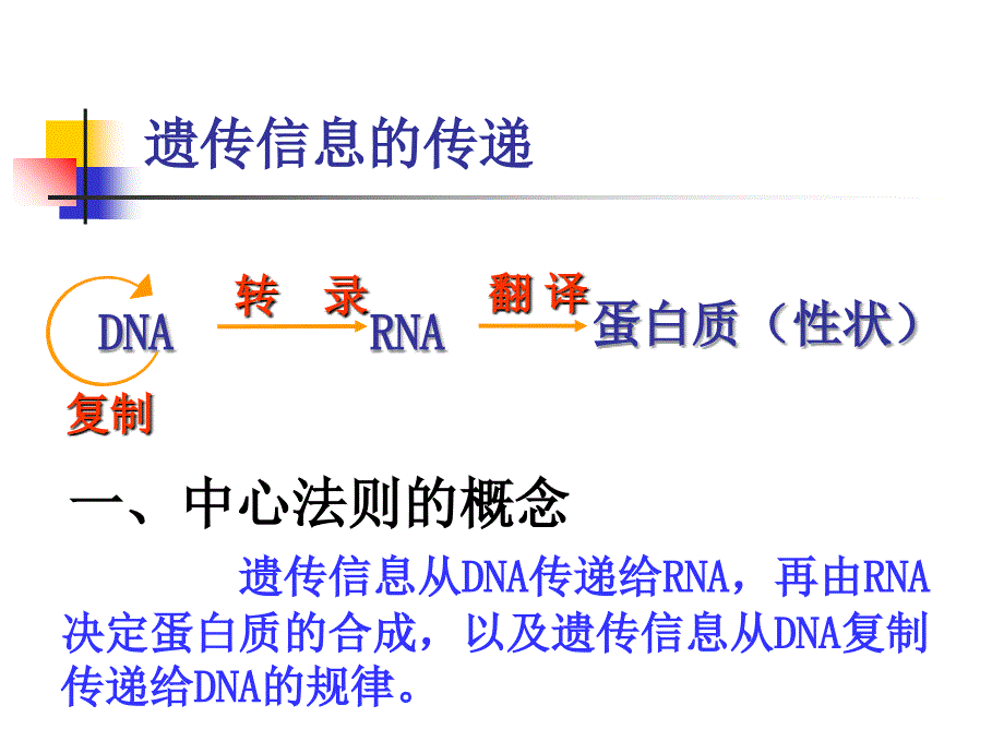 高中生物中心法则_第2页