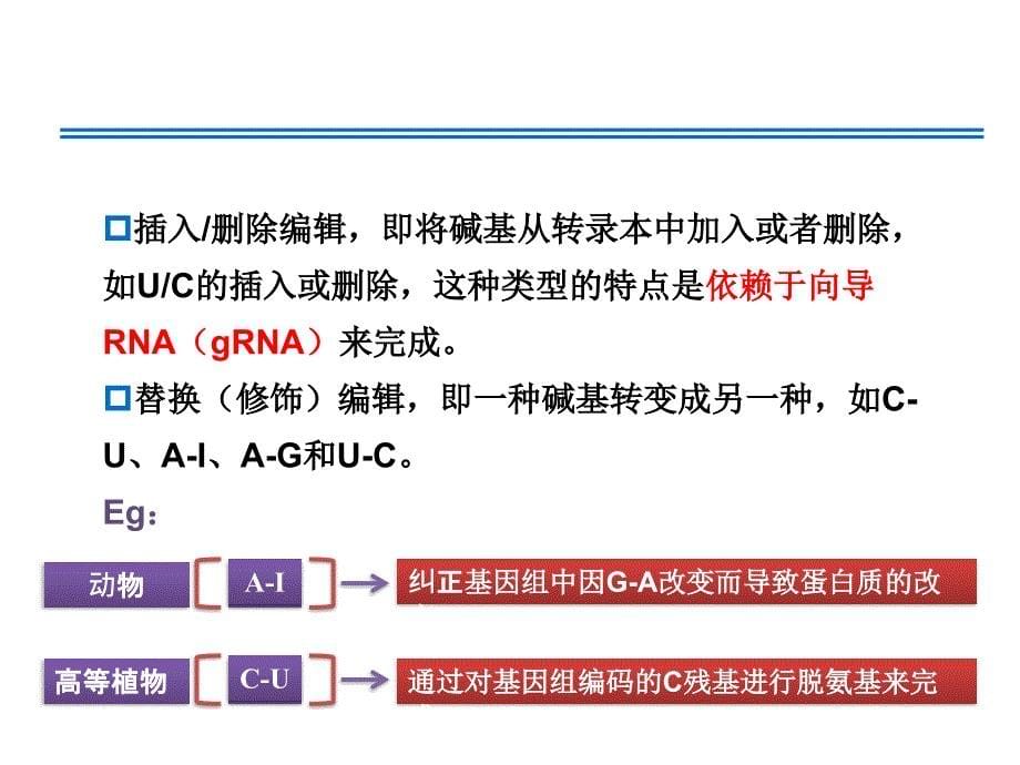 RNA编辑功能的研究进展_第5页