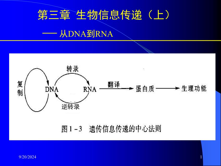 生物信息传递上从DNA到RNA_第1页