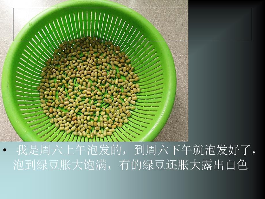 《发豆芽的过程》PPT课件_第4页