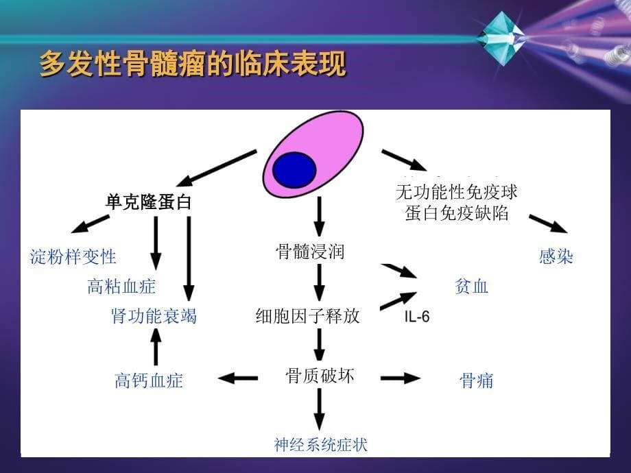 多发性骨髓瘤的发病与治疗概况.ppt_第5页