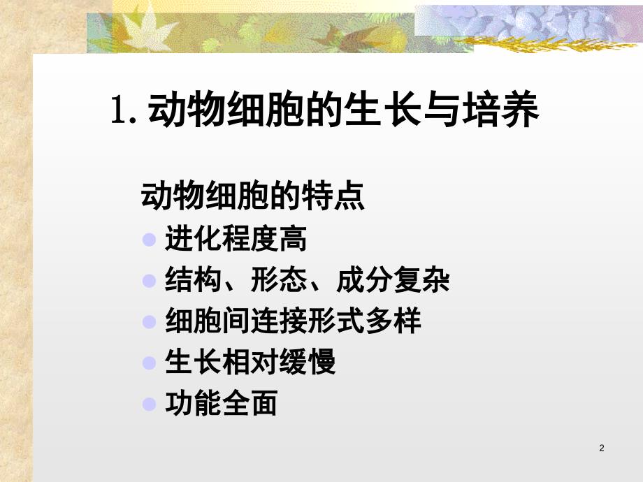 1.动物细胞培养技术.PPT_第2页