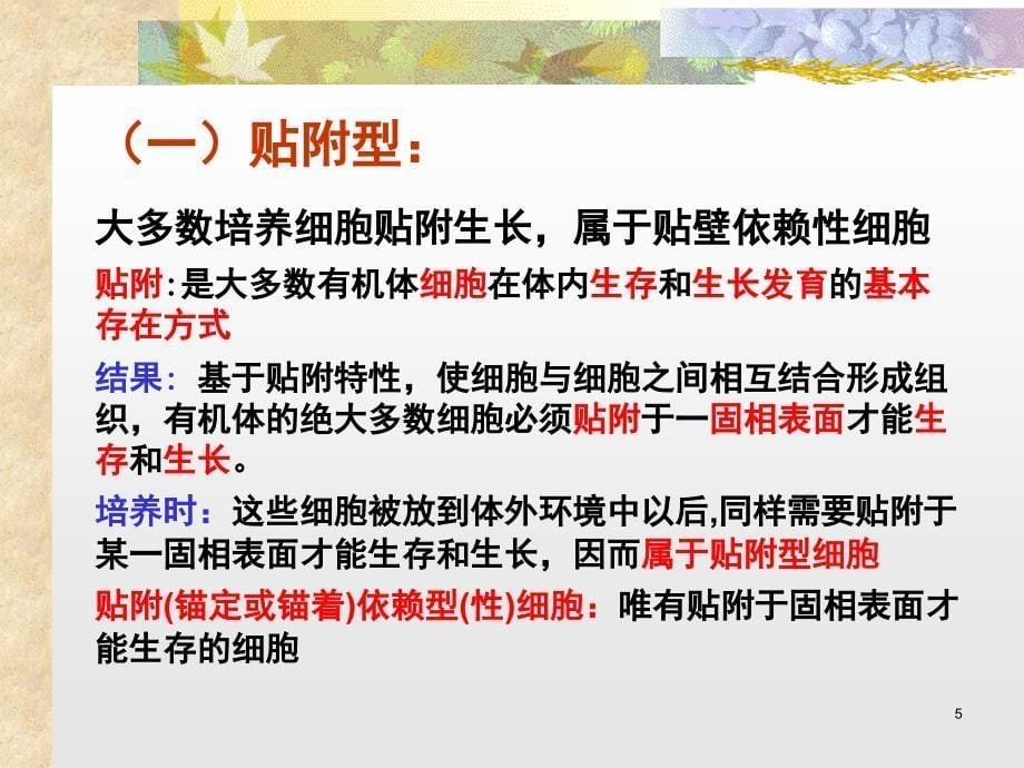 1.动物细胞培养技术.PPT_第5页