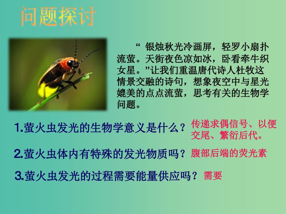 高中生物 第五章 第二节 细胞的能量“通货”-ATP课件 新人教版必修1.ppt_第2页