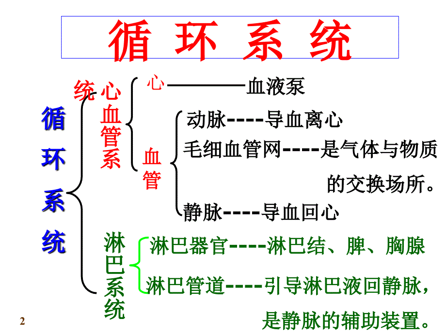 循环系统总论和心课件_第2页