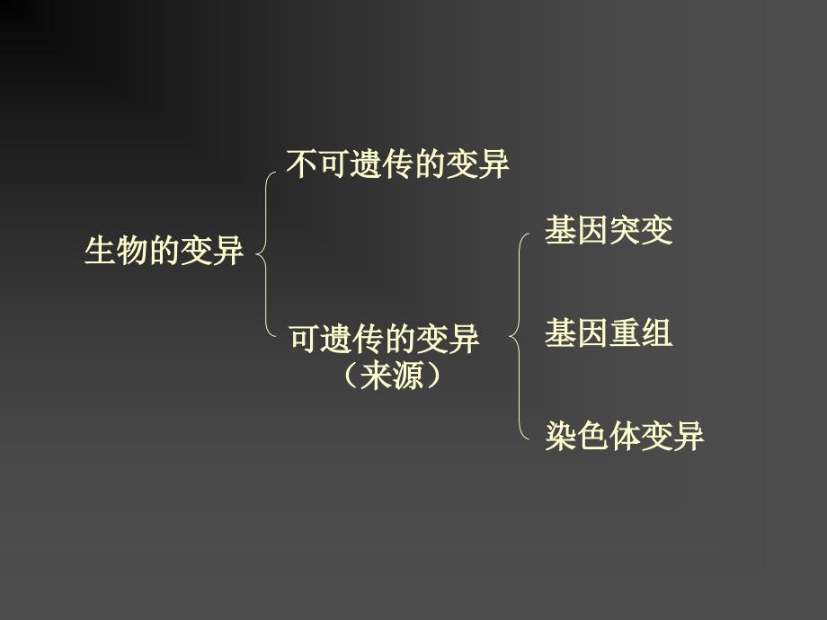 5.1基因突变和基因重组课件陈丽青_第2页