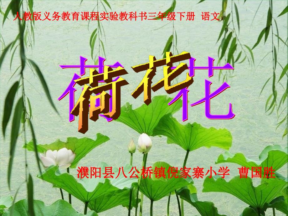 人教版小学三年级语文第三课《荷花》说课稿课件_第1页