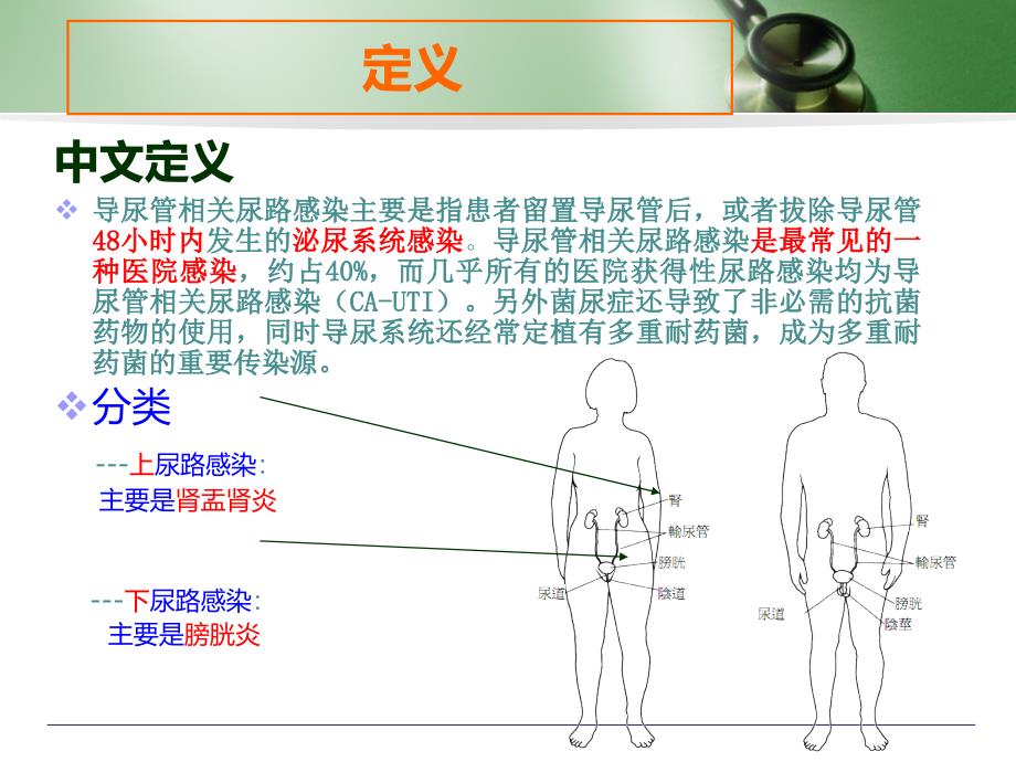 导管相关尿路感染课件_第2页