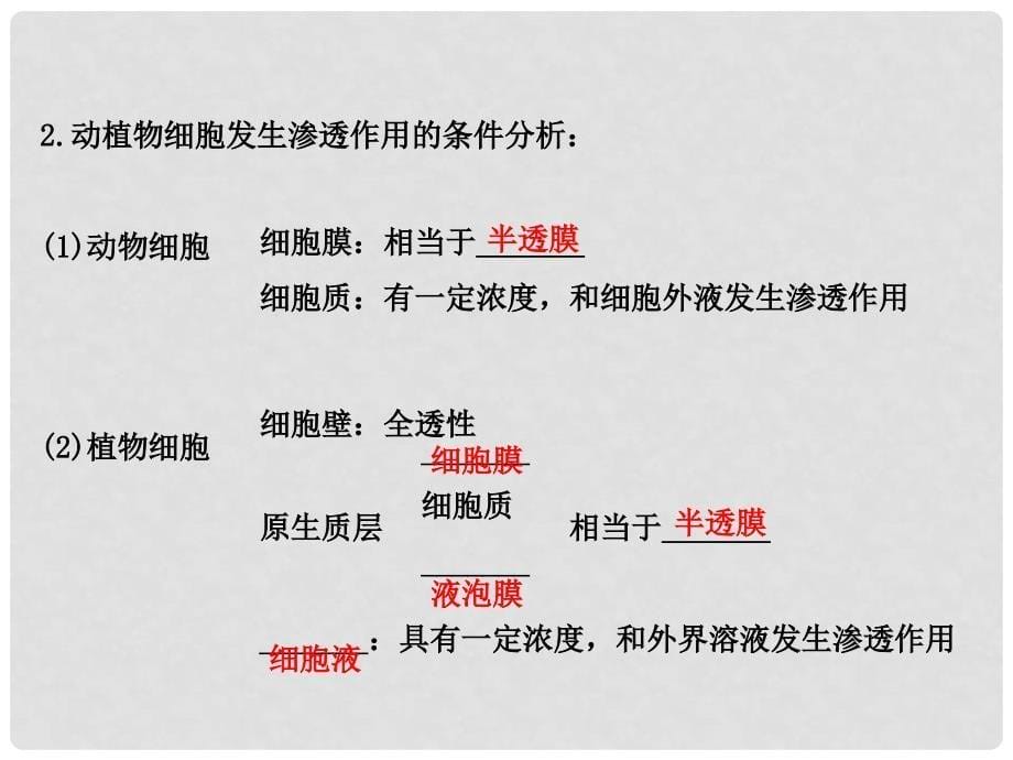 高考生物一轮复习 1.4.1&amp;1.4.2细胞的物质输入和输出课件_第5页