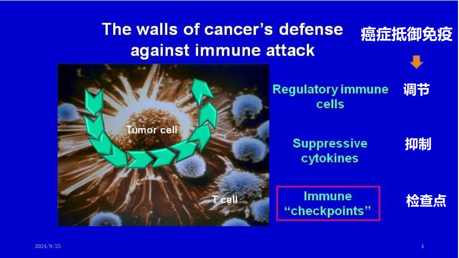ASCO会后-肺癌免疫治疗进展PPT参考课件_第4页