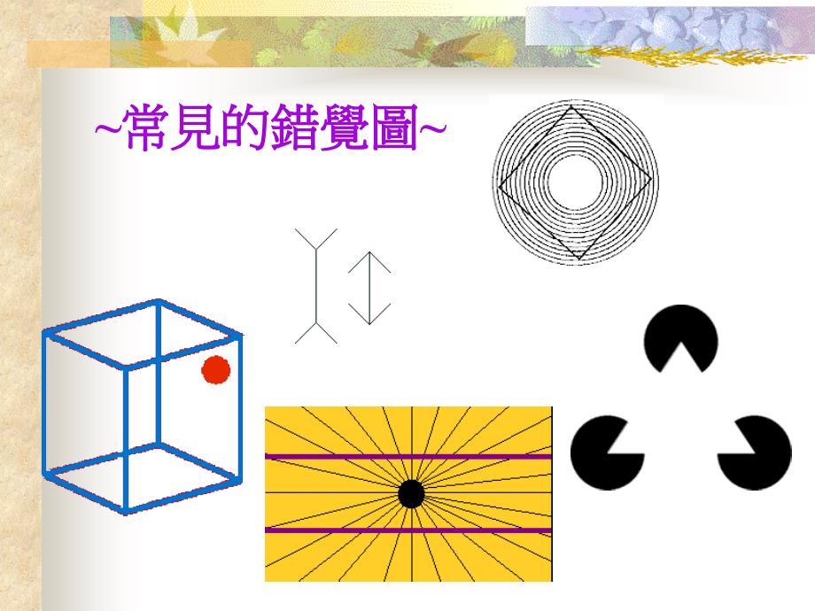 综合科学错觉_第4页